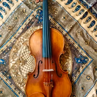 Violino