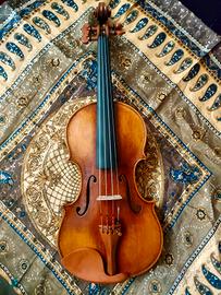 Violino