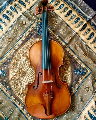 Violino
