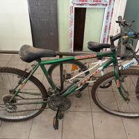 Mountain bike  anni 2000