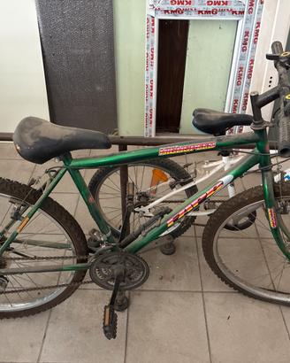 Mountain bike  anni 2000