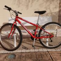 SPECIALIZED ROCKHOPPER