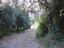 Immagine 13