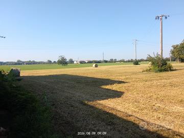 terreno agricolo 13 biolche