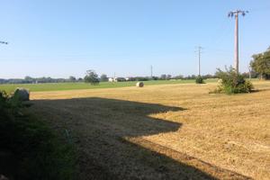 terreno agricolo 13 biolche