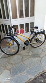 bicicletta donna 