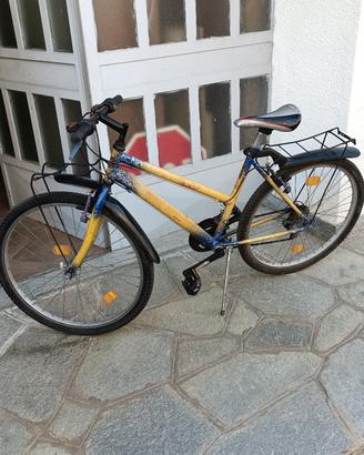 bicicletta donna 