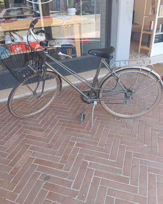 Bicicletta Taurus