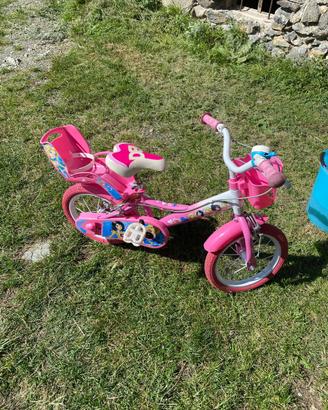 Bicicletta