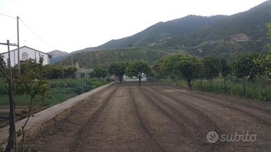 Terreno 650 mq con Rudere - INFO IN DESCRIZIONE