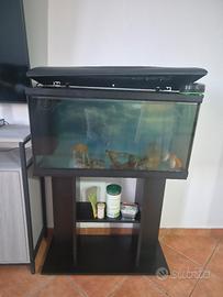 acquario con  mobile e mangime automatico