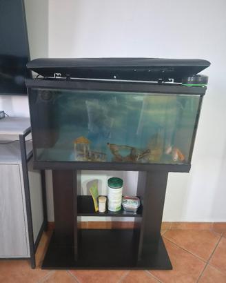 acquario con  mobile e mangime automatico
