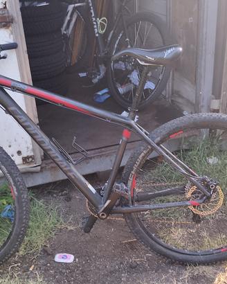 Bicicletta