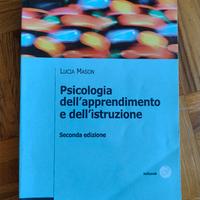 psicologia dell apprendimento e istruzione 