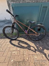 Bicicletta rose da dirt jump