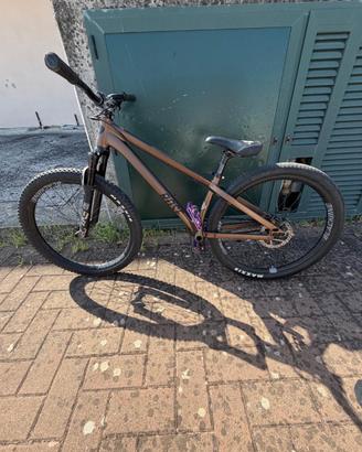 Bicicletta rose da dirt jump