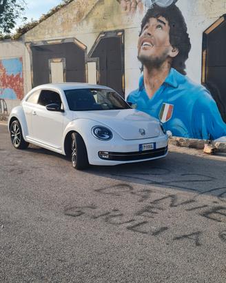 maggiolino 