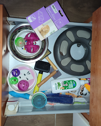 Lotto occorrente per gatto