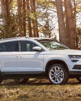 Ricambi usati skoda karoq 2017 #z