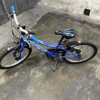 Bicicletta ragazzo 20"