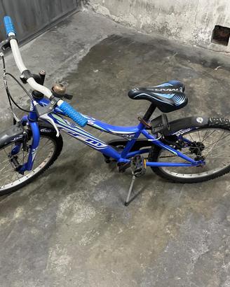 Bicicletta ragazzo 20"