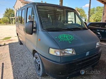 ducato camperizzato