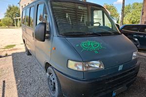 ducato camperizzato