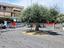 Immagine 25