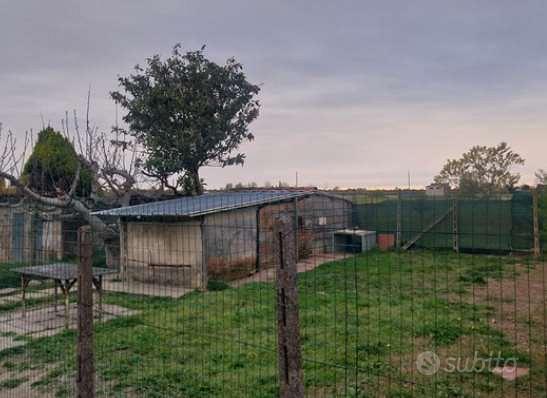 Appartamento – Terrazzo, Torrano - Vista 5