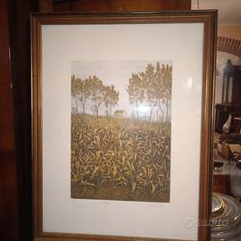 quadro Firmato numerato 