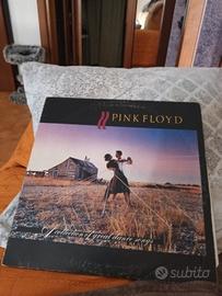lp pink floyd
