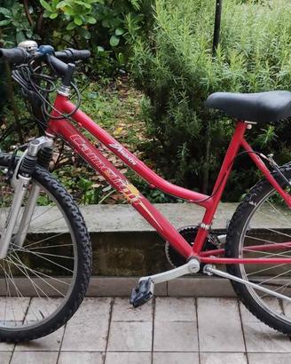 MOUNTAIN BIKE DA DONNA AMMORTIZZATA