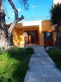 Casa breve