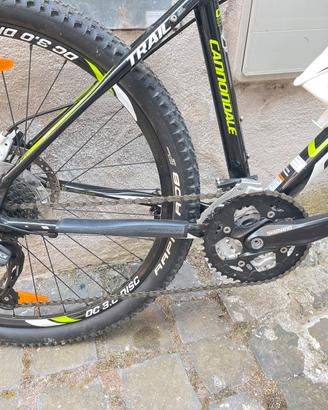 Mountain bike