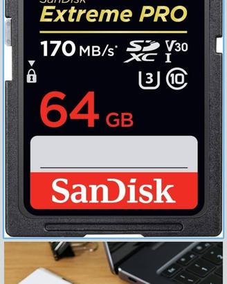 SanDisk Extreme PRO