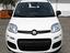 Immagine 17