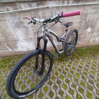 specialized stumpjumpers elite fsr ruote 29 