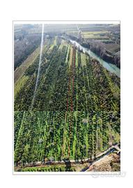 Arancento via delle terme Castelforte