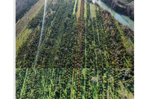 Arancento via delle terme Castelforte