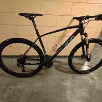MTB Olympia Drake 29