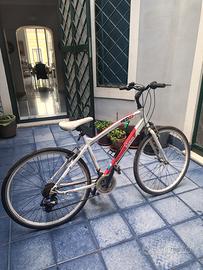 BICI FITNESS 