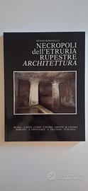 Necropoli dell'Etruria Rupestre - Architettura