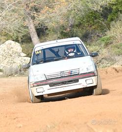 Peugeot 205 1.9 Gti da rally HTP Storico FIA