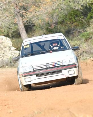 Peugeot 205 1.9 Gti da rally HTP Storico FIA