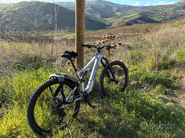 E-mtb amflow pl carbon