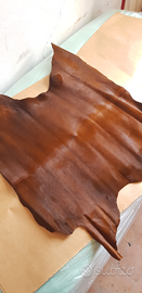 Pelle vitello marrone