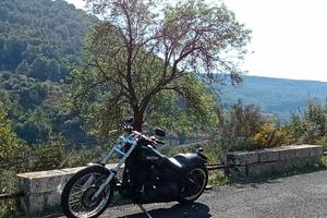 Harley Davidson night train 1450  2006