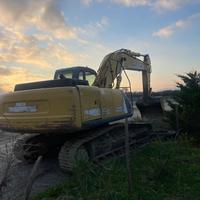 Escavatore new holland 215