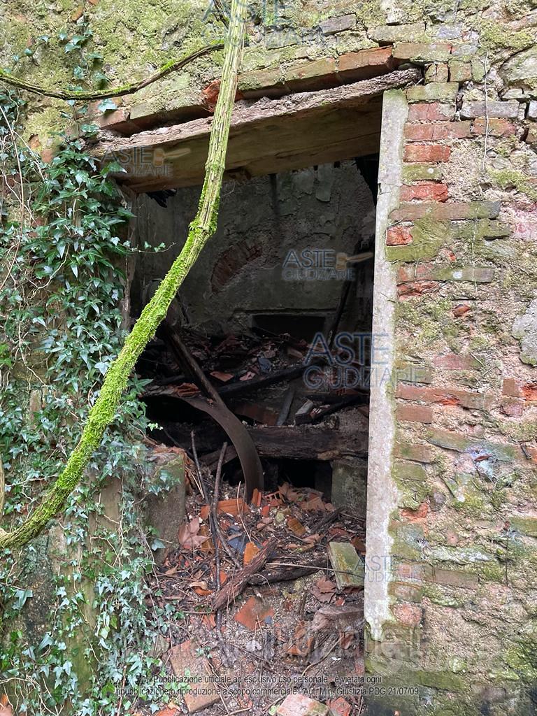 Terreno Agricolo Camaiore [A4346364] - Altro