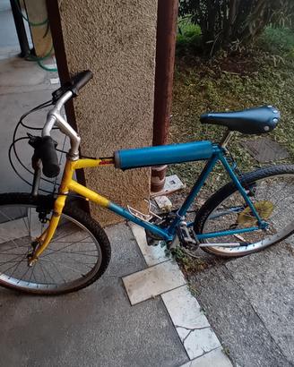 Mountain Bike Vintage Giallo/Blu